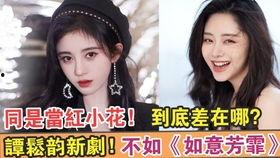 娱乐圈10大脏女明星 赵露思演的电视剧,揭秘娱乐圈“十大脏女明星”背后的真实故事
